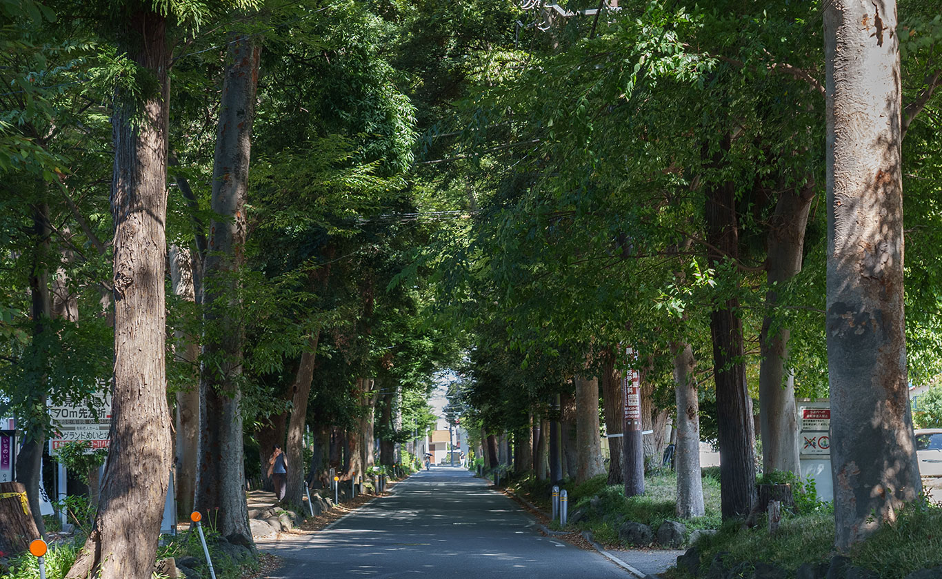 私たちが選ばれる理由